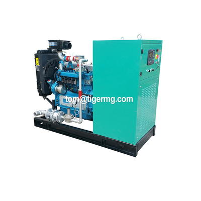 hot sale good price 5kw 10kw 15kw small biomass generators TG10GF